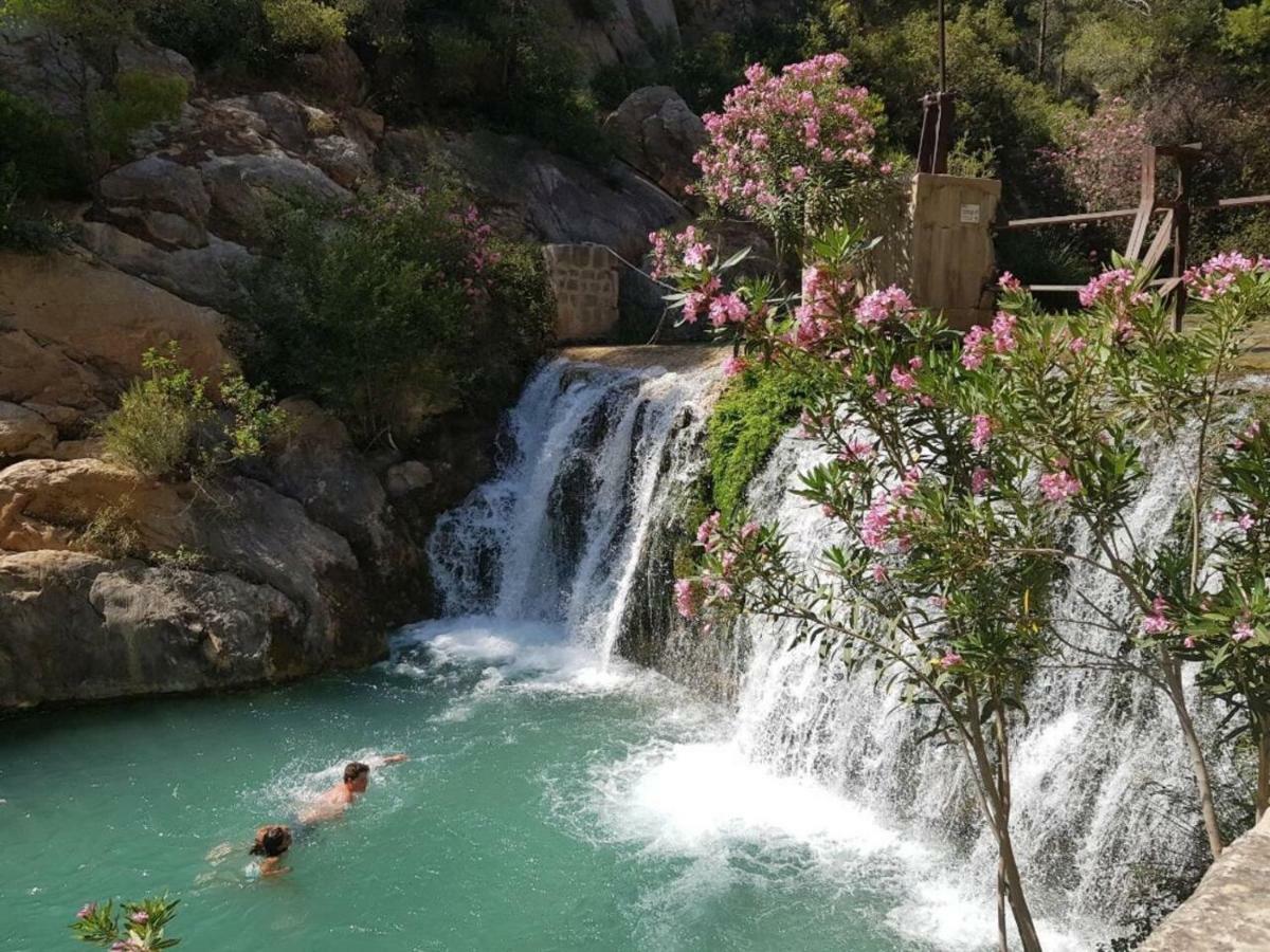 דירות Jacarilla Residential Jardin Del Pintor - La Casa Amarilla מראה חיצוני תמונה