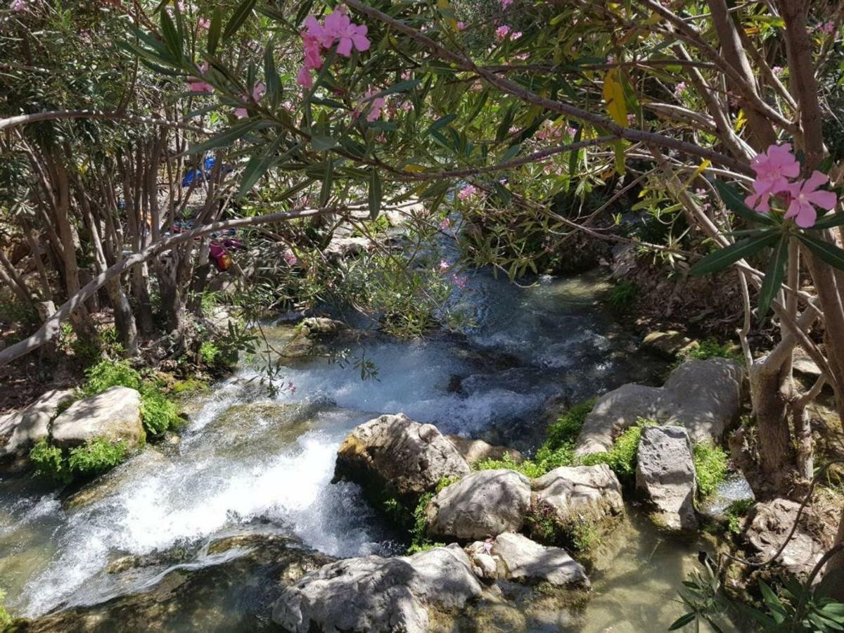 דירות Jacarilla Residential Jardin Del Pintor - La Casa Amarilla מראה חיצוני תמונה
