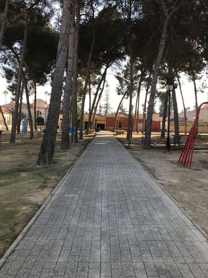 דירות Jacarilla Residential Jardin Del Pintor - La Casa Amarilla מראה חיצוני תמונה