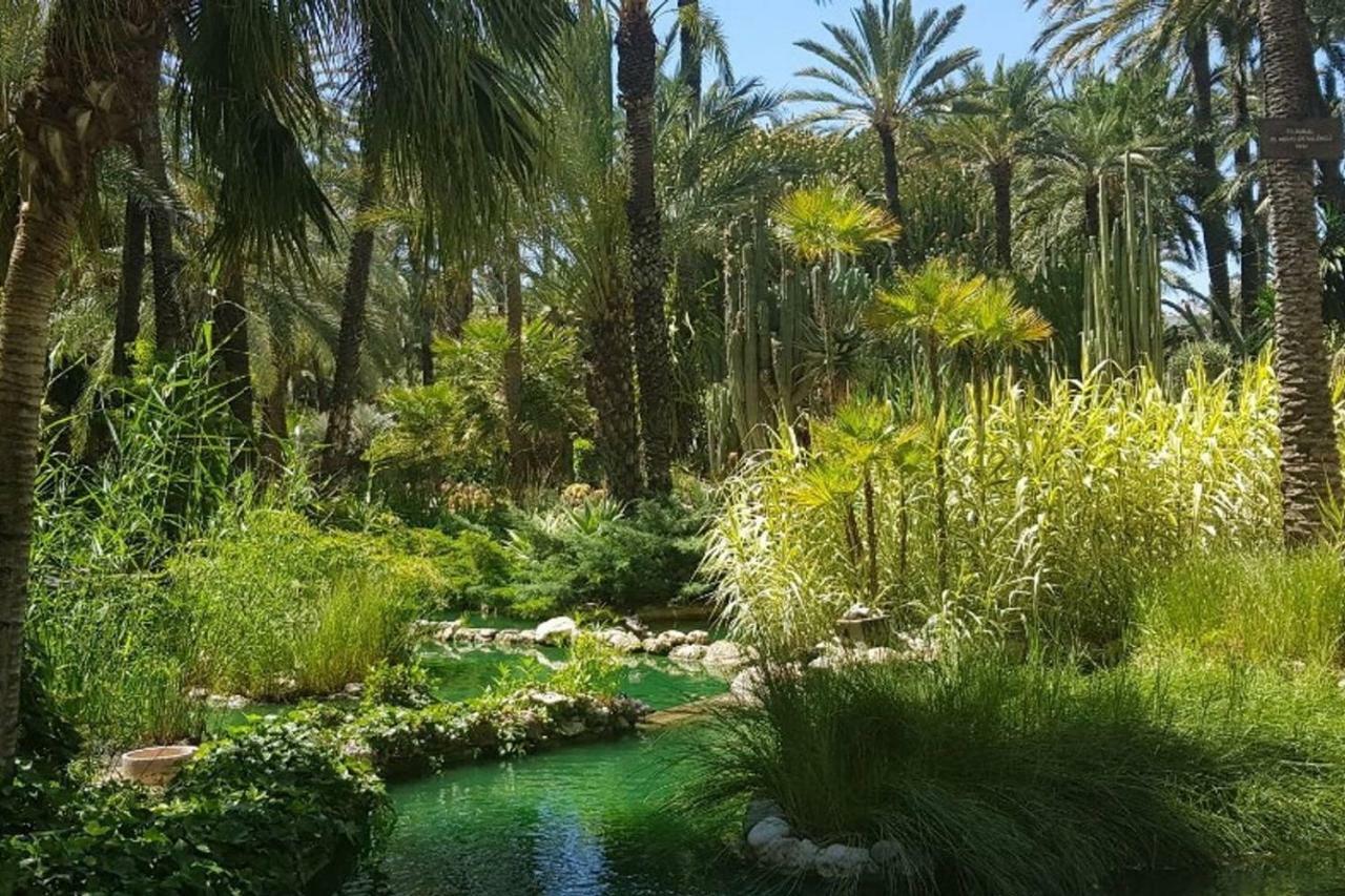 דירות Jacarilla Residential Jardin Del Pintor - La Casa Amarilla מראה חיצוני תמונה